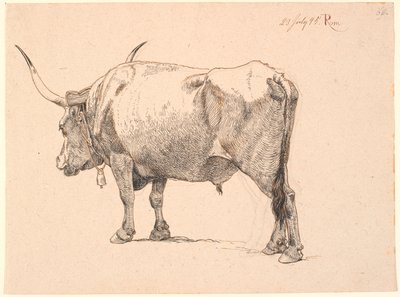 Romeinse stier met bel om de hals, schuin van achteren gezien door Johan Thomas Lundbye