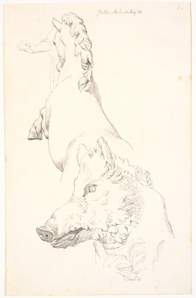 Studie naar antieke sculpturen: Everzwijnkop, bovenlichaam van een steigerend paard van achteren gezien en een arm met draperie door Johan Thomas Lundbye