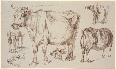 Studieblad van Vognserup. Verschillende studies van een koe door Johan Thomas Lundbye