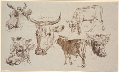 Studieblad van Vognserup. Studies van koeienkoppen, stierkalveren en hun koppen door Johan Thomas Lundbye