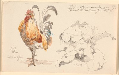 Studieblad met een haan en een zuring door Johan Thomas Lundbye