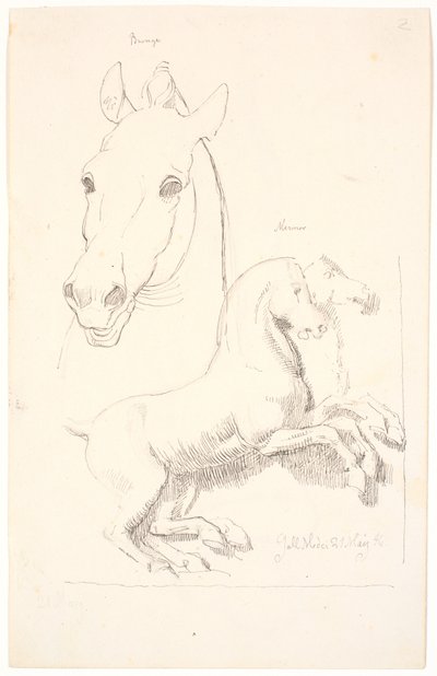 Studier naar antieke sculpturen. Boven een paardenhoofd, onder een reliëf met twee paarden door Johan Thomas Lundbye