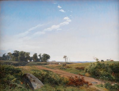 Zeelands Landschap. Open Land in Noord-Zeeland door Johan Thomas Lundbye