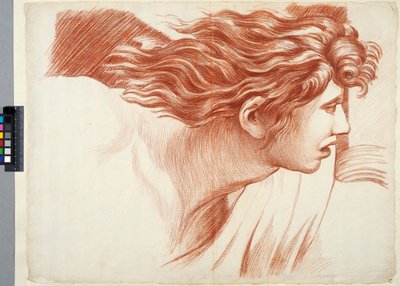  door Johan Tobias Sergel