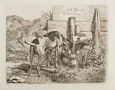  door Johann Adam Klein