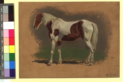 Pferdestudie door Johann Adam Klein