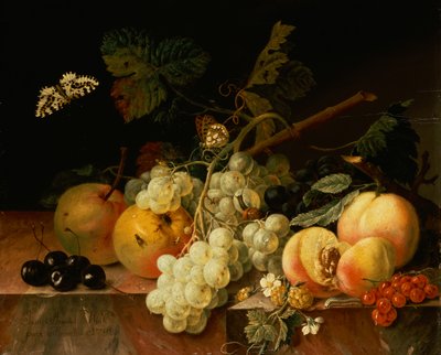 Fruit op een marmeren rand met vlinders, slak en rups door Johann Amandus Wink