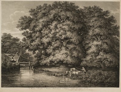 Een Boer die Zijn Vee het Water In Drijft door Johann Christian Reinhart