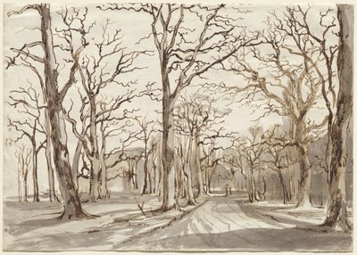 Een bosweg in Rosenthal in de winter door Johann Christian Reinhart