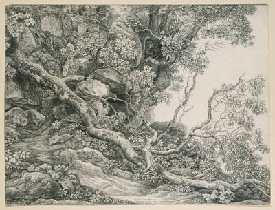  door Johann Christian Reinhart