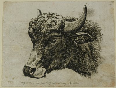 Buffelhoofd naar links, uit Die Zweite Thierfolge door Johann Christian Reinhart