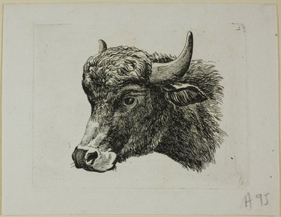 Buffelhoofd naar links, uit Die Zweite Thierfolge door Johann Christian Reinhart