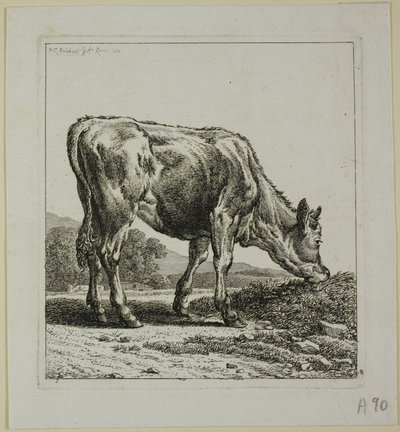 Kalf dat gevoed wordt, uit Die Zweite Thierfolge door Johann Christian Reinhart