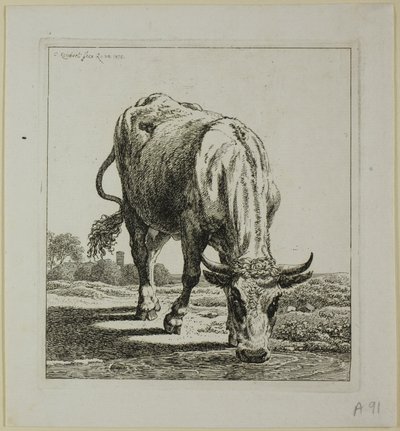 Koe drinkend, uit Die Zweite Thierfolge door Johann Christian Reinhart