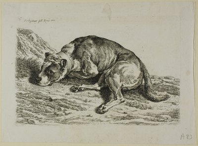 Liggende Hond, uit Die Zweite Thierfolge door Johann Christian Reinhart