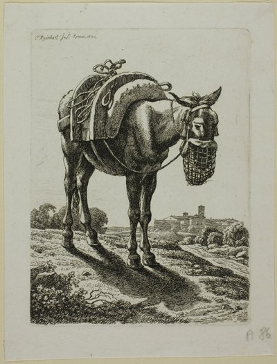 Voedende muilezel - Voorkant, uit Die Zweite Thierfolge door Johann Christian Reinhart