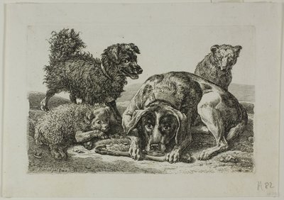 Vier honden, uit Die Zweite Thierfolge door Johann Christian Reinhart
