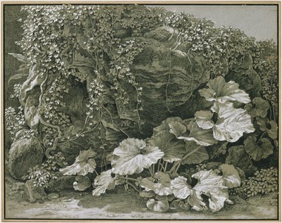  door Johann Christian Reinhart