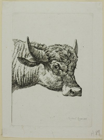 Hoofd van een Buffel, uit Die Zweite Thierfolge door Johann Christian Reinhart