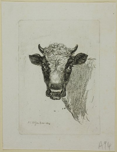 Hoofd van een jonge stier, uit Die Zweite Thierfolge door Johann Christian Reinhart
