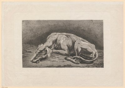 Slapende windhond door Johann Christian Reinhart