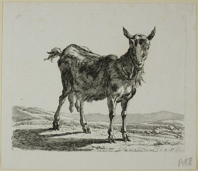 Staande Geit, uit Die Zweite Thierfolge door Johann Christian Reinhart