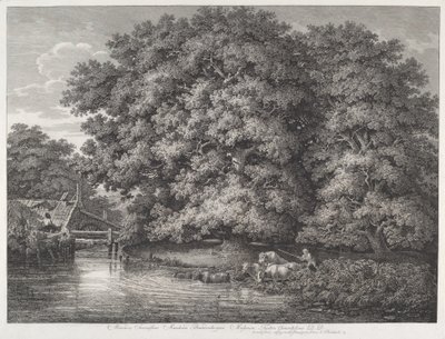 De Molen bij de Grote Eiken door Johann Christian Reinhart