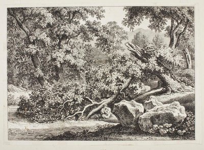 door Johann Christian Reinhart
