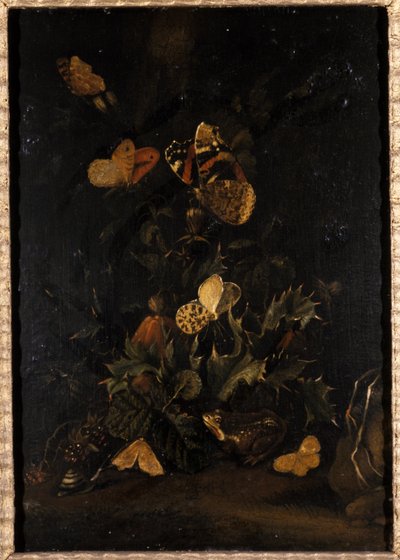 Bloemen met vlinders en pad door Johann Christian Thomas Winck