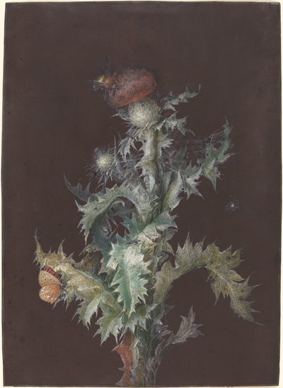 Distel met Insecten door Johann Christoph Dietzsch