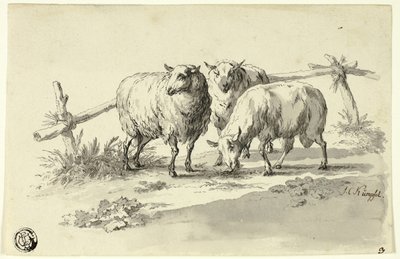 Schapen door Johann Christoph Kimpfel