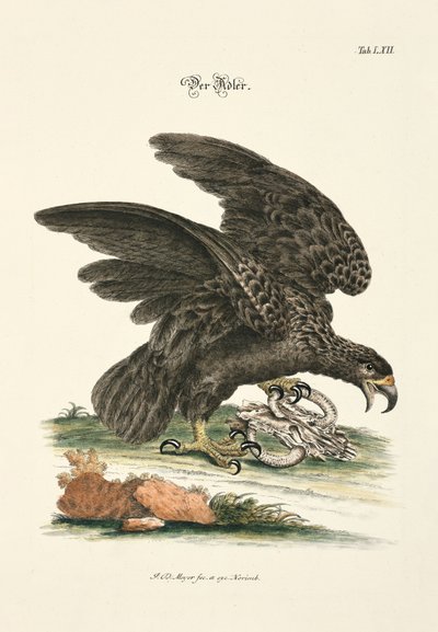  door Johann Daniel Meyer