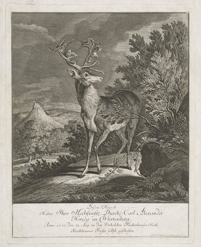 Een Prachtige Hert in een Landschap door Johann Elias Ridinger