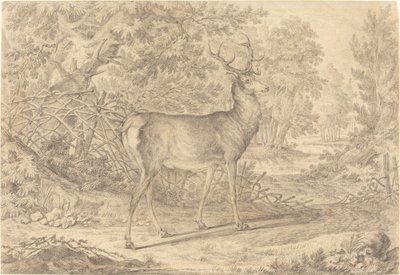 Een prachtige jonge hert voor een vlechtwerk hek door Johann Elias Ridinger