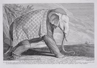 Een Olifant door Johann Elias Ridinger or Riedinger