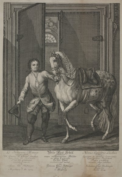 Nieuwe school van paardrijden door Johann Elias Ridinger