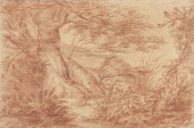 Planten en grassen bij oude wilgenstammen door Johann Elias Ridinger