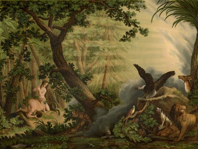 De val door Johann Elias Ridinger or Riedinger
