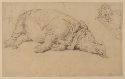 Neushoorn liggend op zijn zij door Johann Elias Ridinger or Riedinger