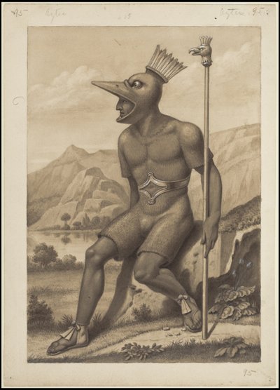 Een verzameling van Waldeck