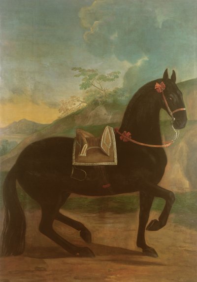 Een Zwart Paard met een Spaanse Zadel door Johann Georg Hamilton