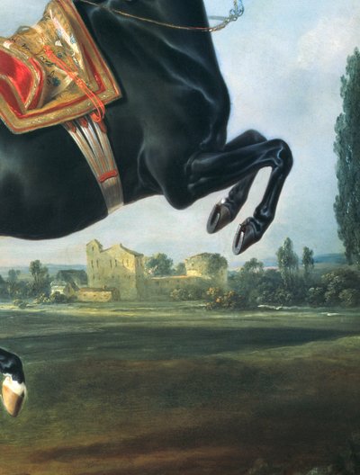 Een zwart paard dat de Courbette uitvoert (detail) door Johann Georg Hamilton