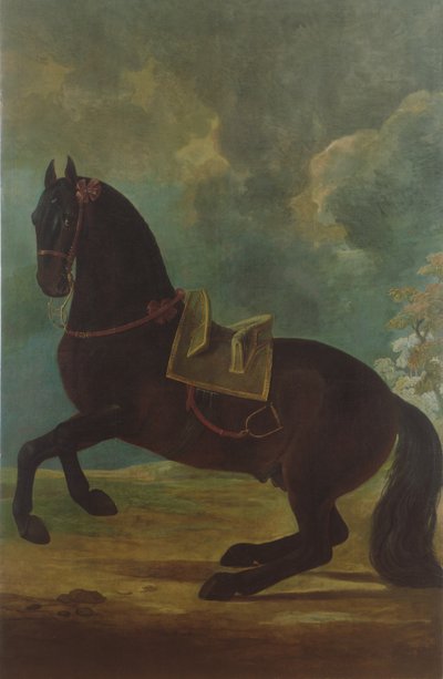 De Bay Hengst met Spaanse zadel door Johann Georg Hamilton