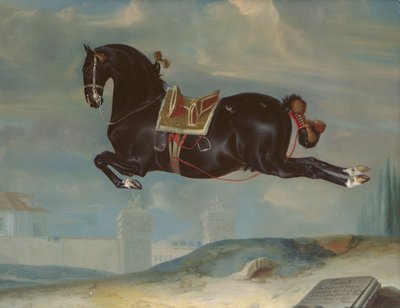 Het zwarte paard 