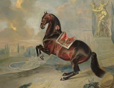 Het donkerbruine paard 