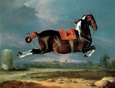 Het bonte paard 