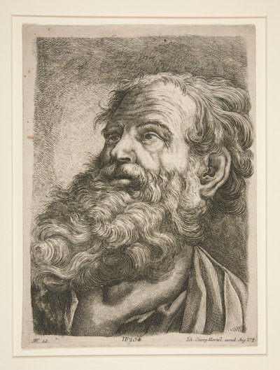 Mannelijk hoofd (van een apostel?) door Johann Georg Hertel