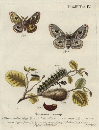 Onbekend beeld door Johann Georg Klinger