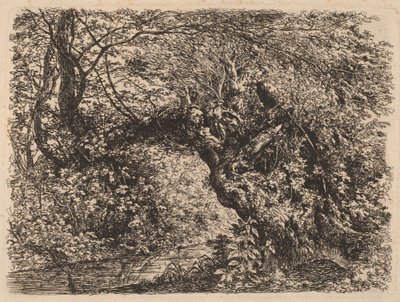 Een Oude Wilg bij een Stroom door Johann Georg von Dillis