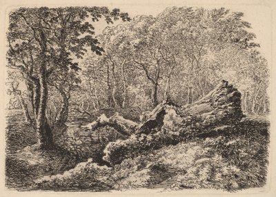 Vergaande Boomstam door Johann Georg von Dillis